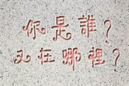 你是誰(shuí)啊.jpg